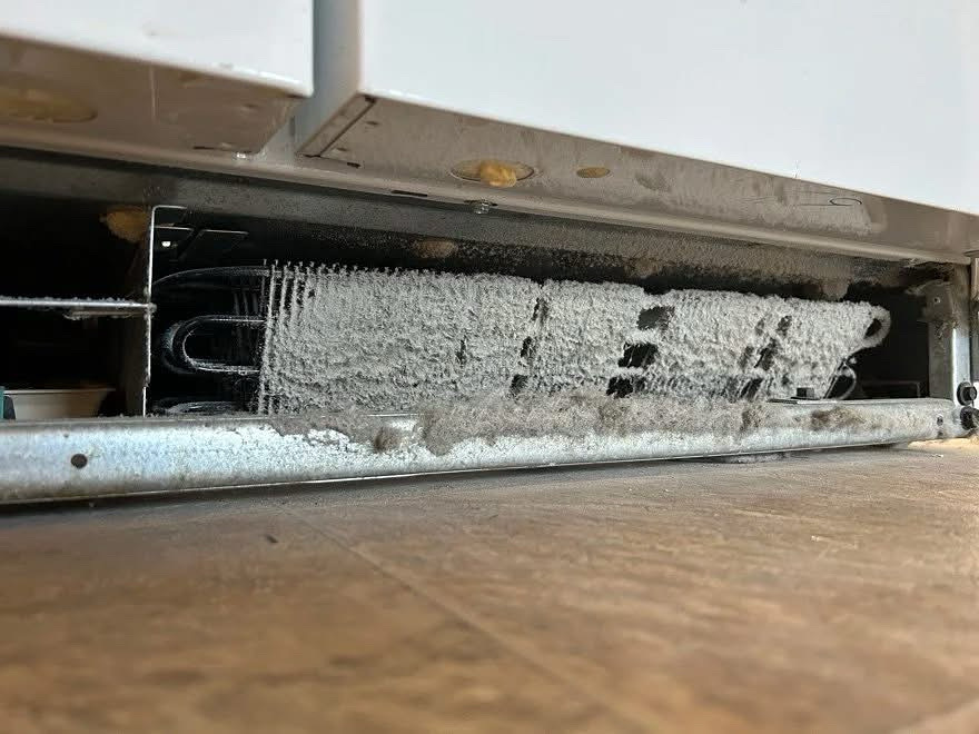 dirty refrigerator coils before cleaning