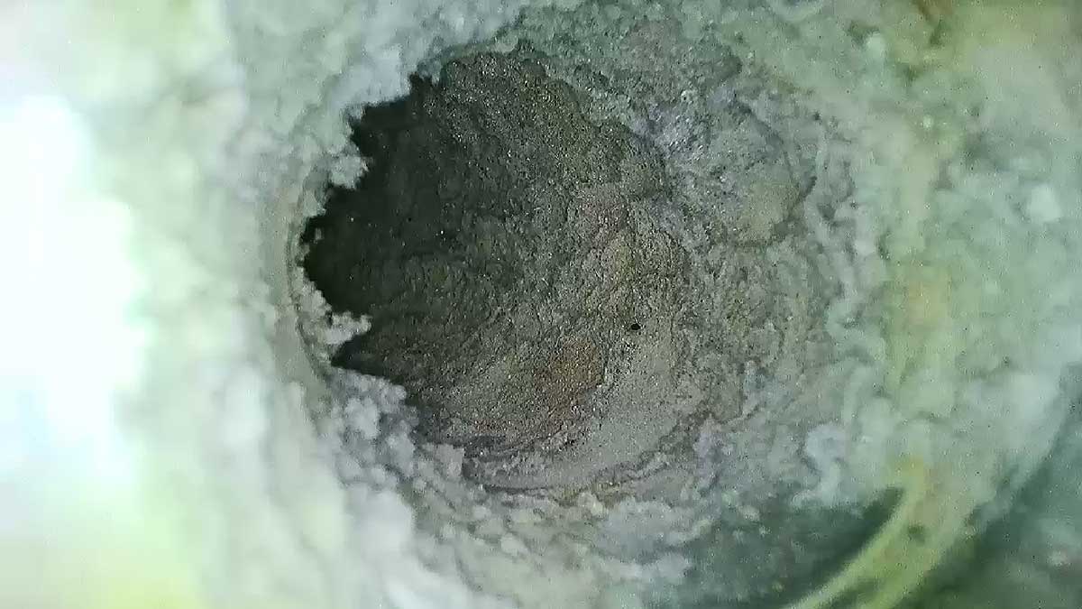 dirty mobile home dryer vent cleaning